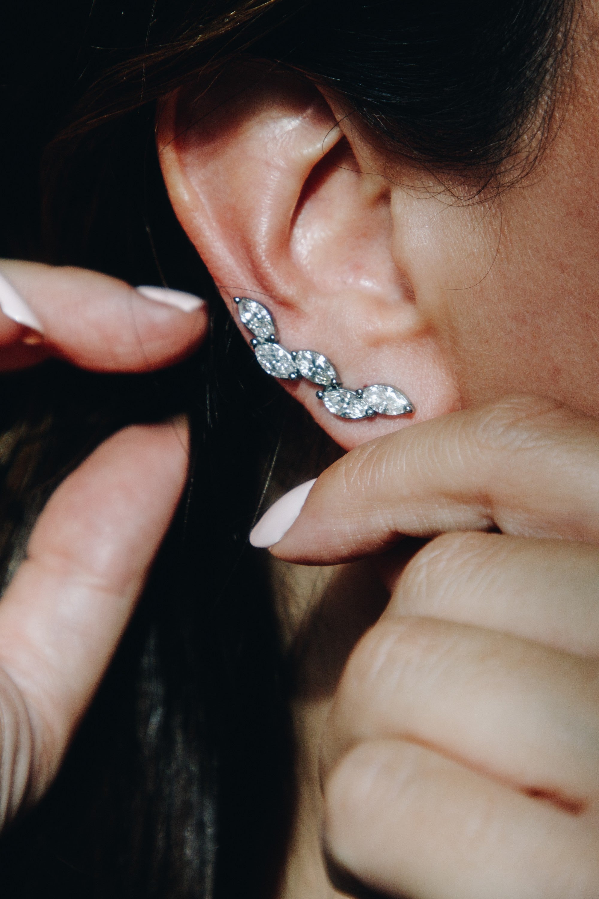 Luxury gemstone earrings image