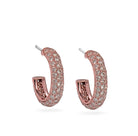 Gold hoop earrings